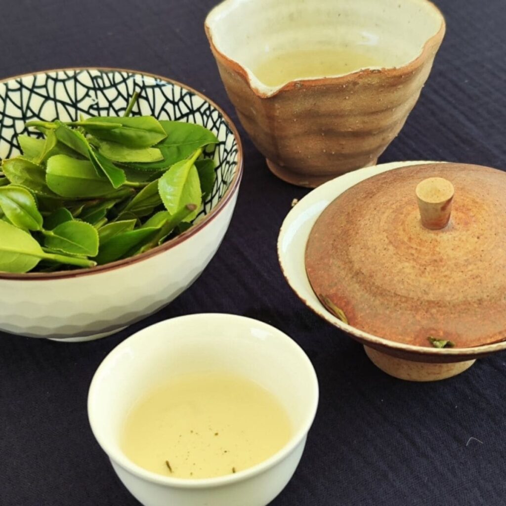 Dégustation de thé breton bio avec Bleu -Thé en Bretagne